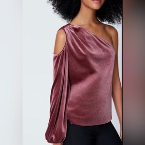 NWT Rebecca Minkoff Medium, one shoulder cut out velvet top, mauve.